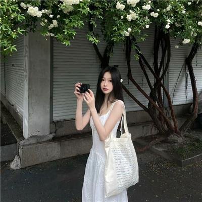 夏之庭