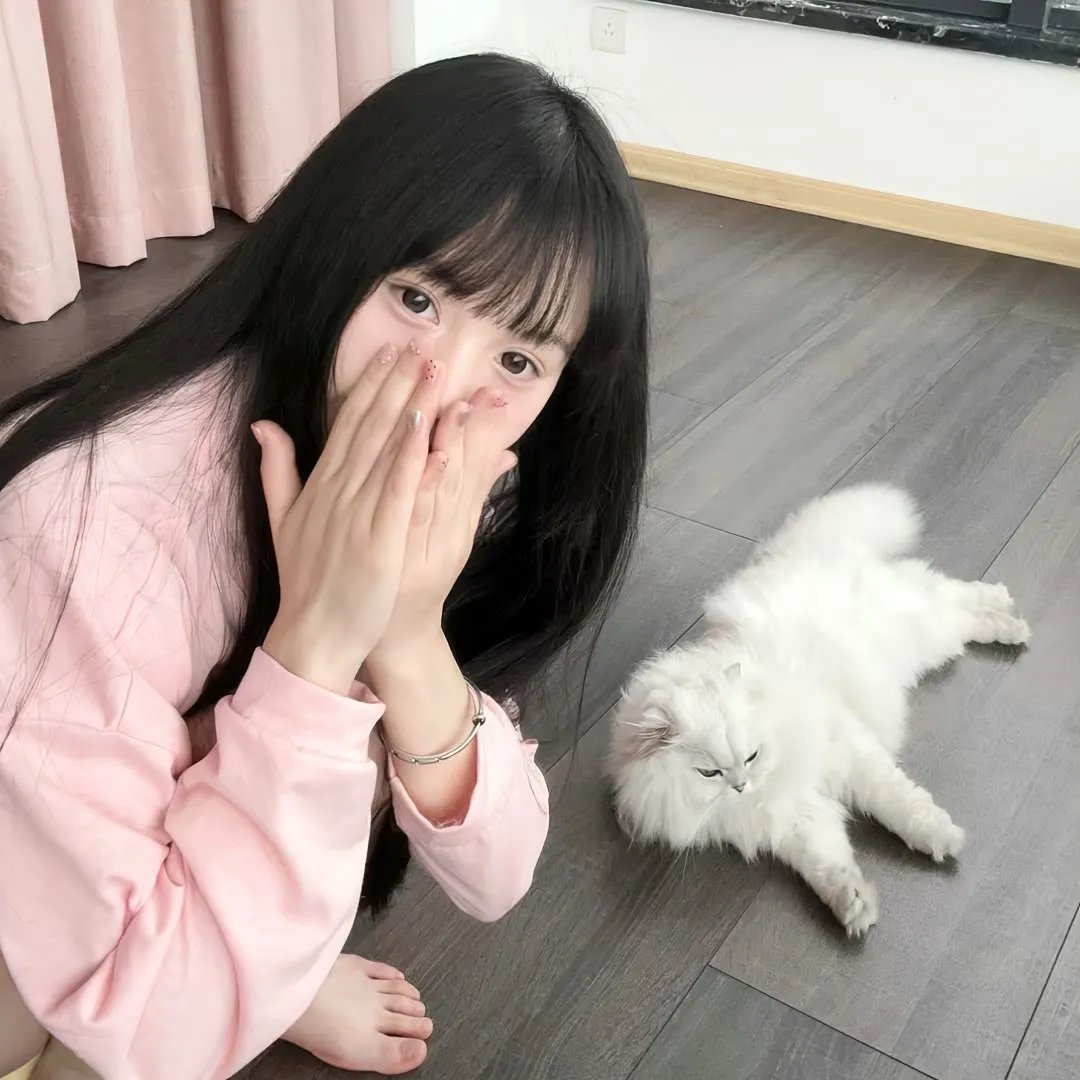 试睡员48小时